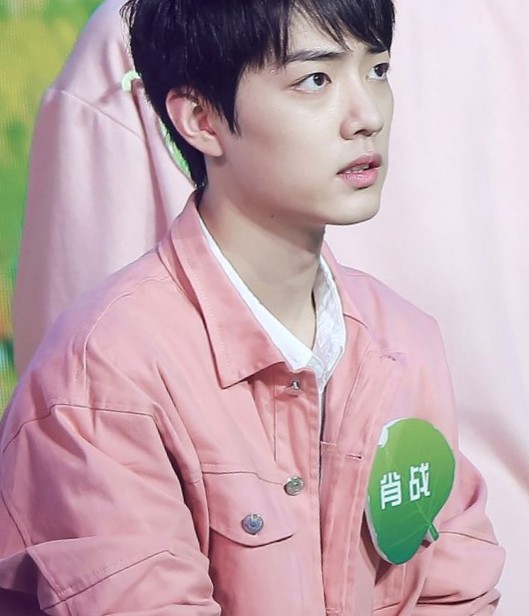 Xiao Zhan in a pink jacket
